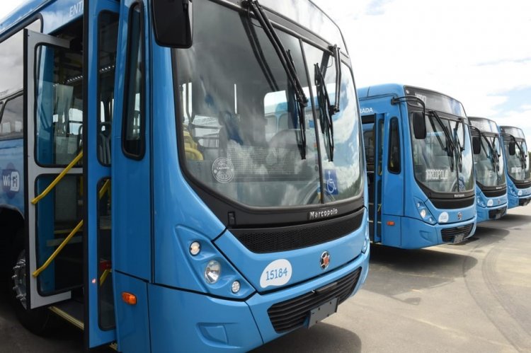 Operação do Transcol Especial Saúde contará com mais 12 linhas a partir de hoje