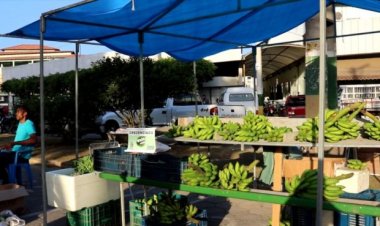 Feiras municipais acontecem nesta hoje e sexta-feira em Nova Venécia