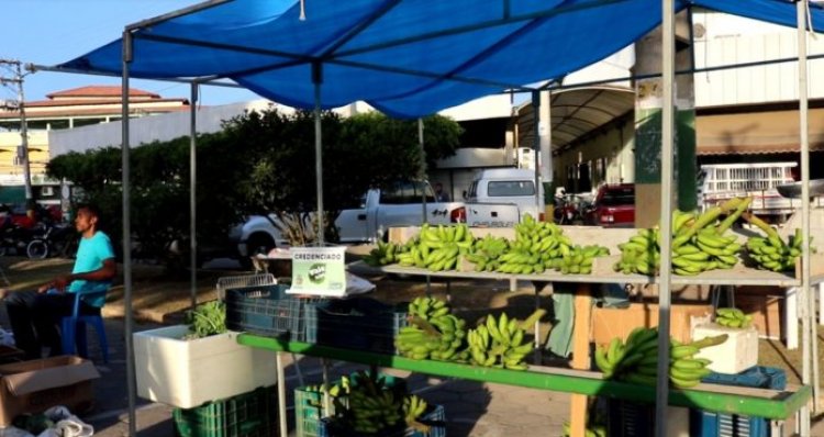 Feiras municipais acontecem nesta hoje e sexta-feira em Nova Venécia