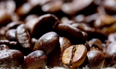 INDICADORES: Preço do café arábica cai nesta terça-feira (2)