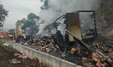 Carreta com carga de carne pega fogo e interdita rodovia