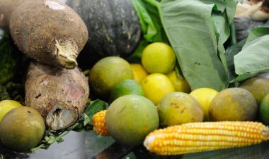 Vitamina D pode trazer benefícios e malefícios para a saúde