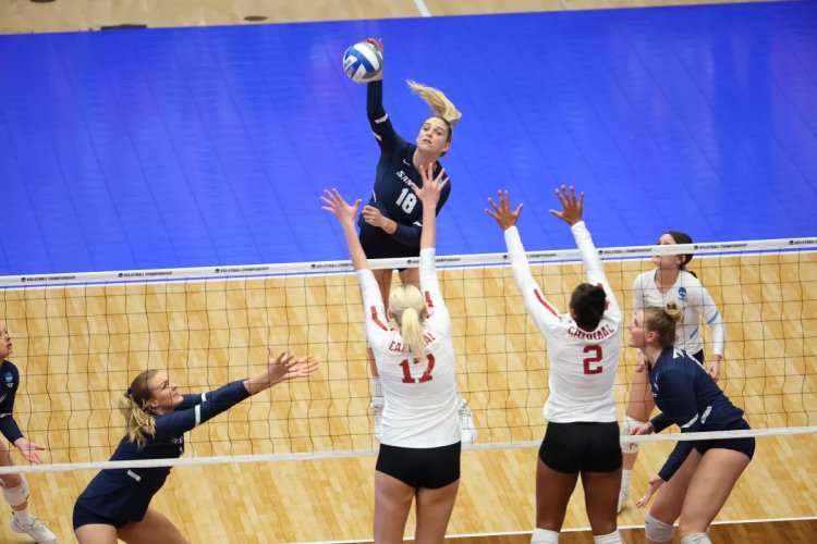Final Four! USD volleyball team beats Stanford to move on to NCAA semifinals
