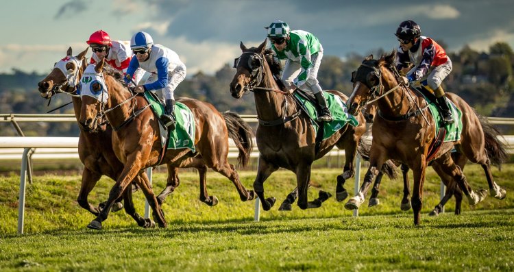 Dicas para corridas de cavalos: a soneca de sexta-feira