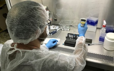 Lacen/ES já realizou mais de 48 mil testes para detecção da dengue nas primeiras quinze semanas de 2024