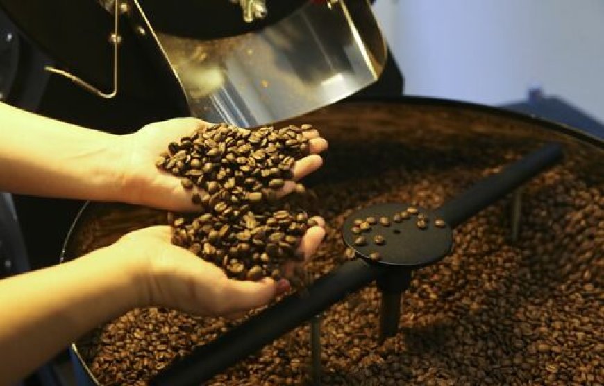 Café arábica e o robusta tiveram queda de preços no último fechamento