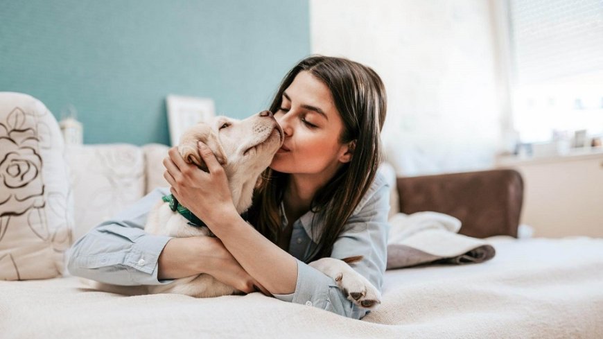 Licença PETernidadepara quem adota um animal de estimação pode ser um benefício inovador a sua empresa