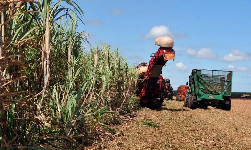 Com 31 novos mercados abertos para o agronegócio, Brasil amplia presença dos produtos no mercado mundial