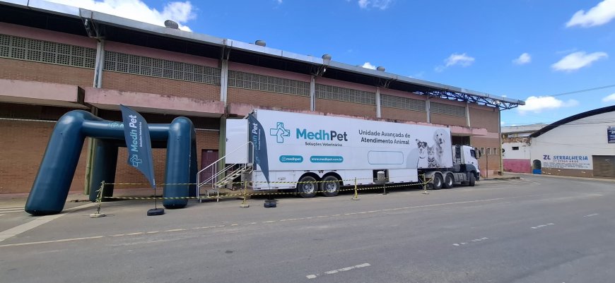 Nova Venécia avança no bem-estar animal com ação de castração em parceria com o Governo do Estado