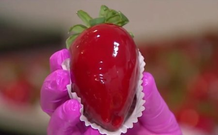 Pratos virais geram oportunidades de faturamento para empreendedores