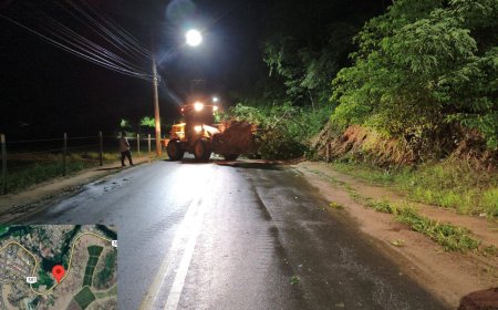 Defesa Civil e Secretaria de Obras removem árvore caída após fortes chuvas em Nova Venécia