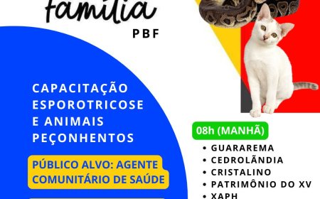 Agentes de saúde passarão por capacitação sobre esporotricose e animais peçonhentos em Nova Venécia