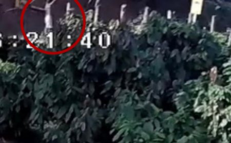 Homem é assassinado a tiros em lavoura de cacau em Governador Lindenberg