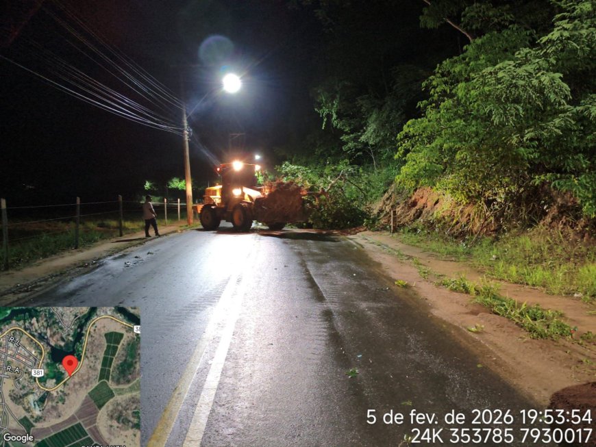 Defesa Civil e Secretaria de Obras removem árvore caída após fortes chuvas em Nova Venécia