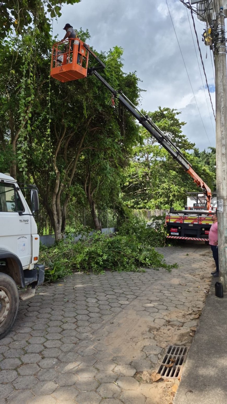 Secretaria de Meio Ambiente e Obras realizam poda de manutenção preventiva no bairro Beira Rio
