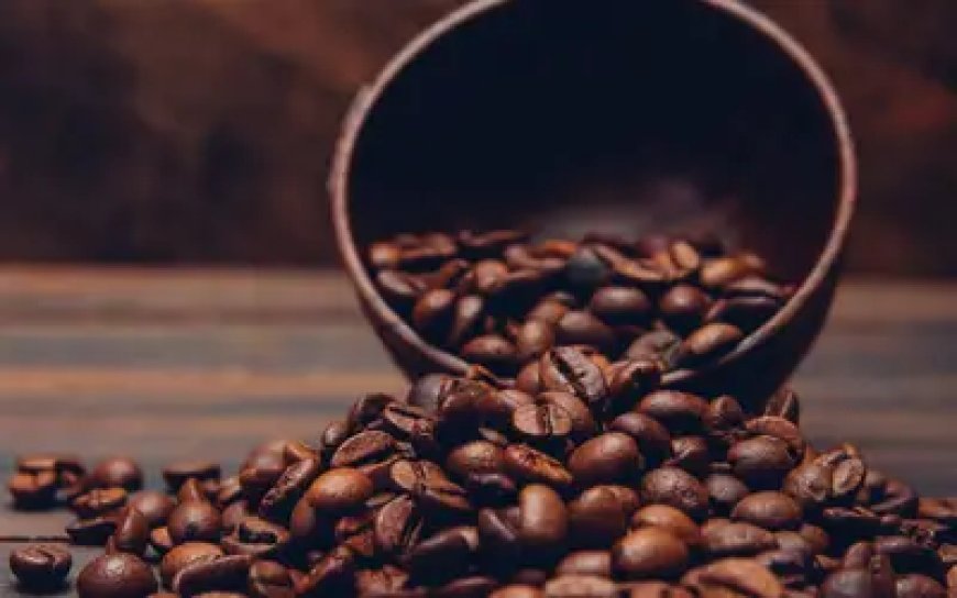 Café hoje: confira as cotações para segunda-feira (9)